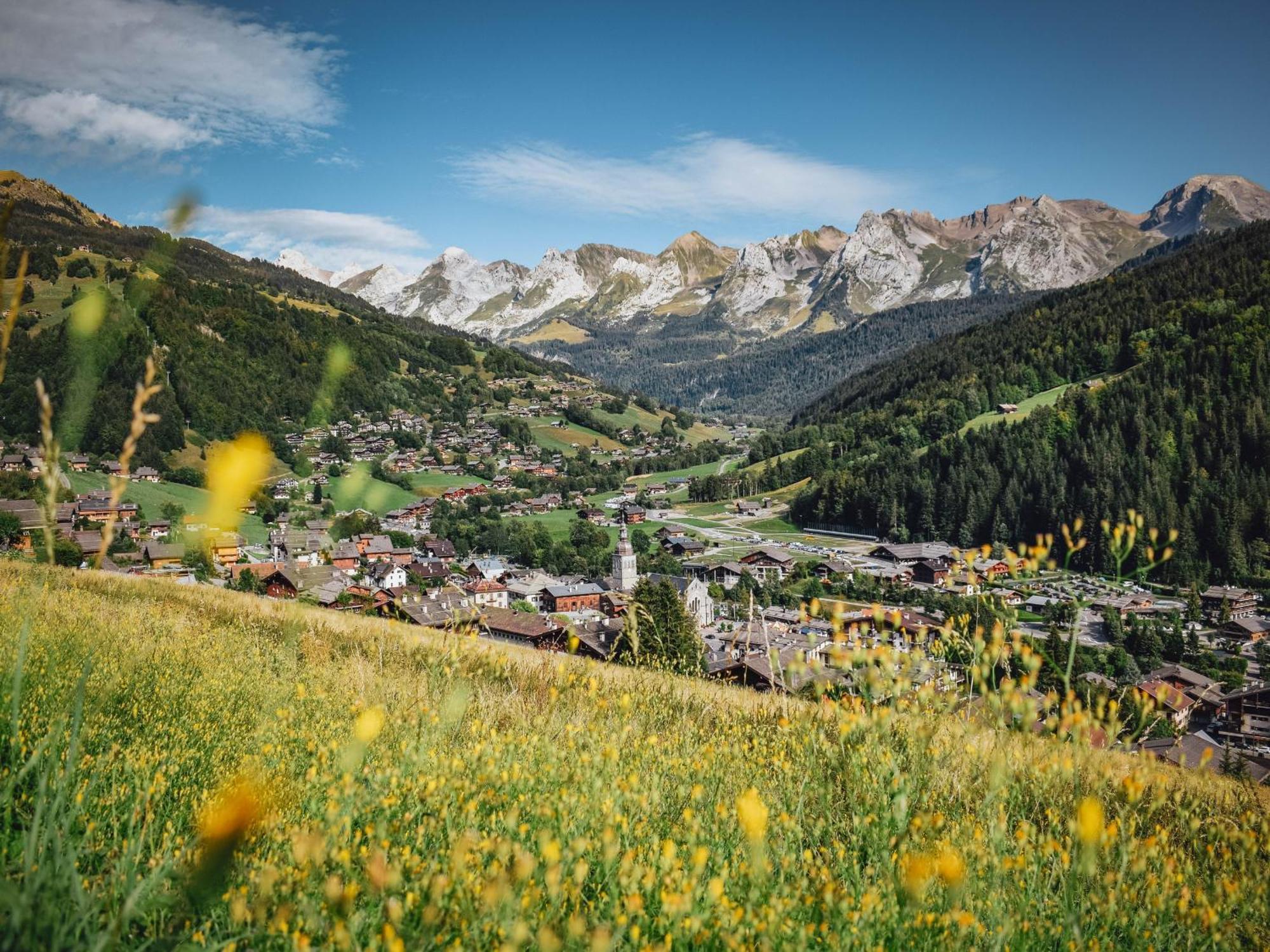 Studio Chaleureux Avec Acces Bien-Etre, Proche Centre Et Pistes, Le Grand-Bornand Village - Fr-1-467-34 Apartment